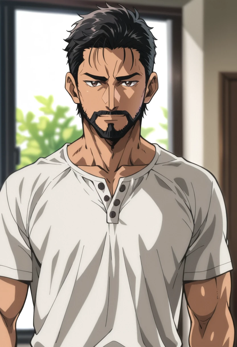 Hugo Beauregard, anime art