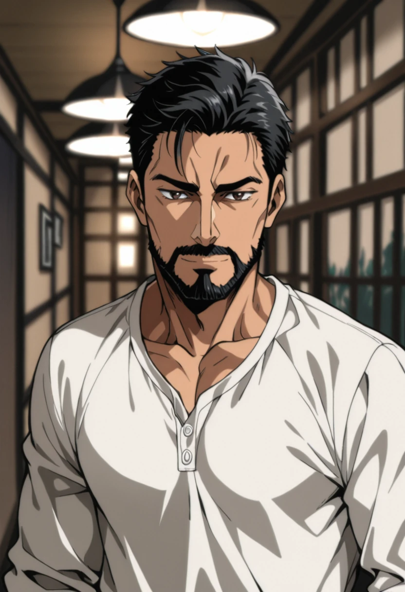 Hugo Beauregard, anime art