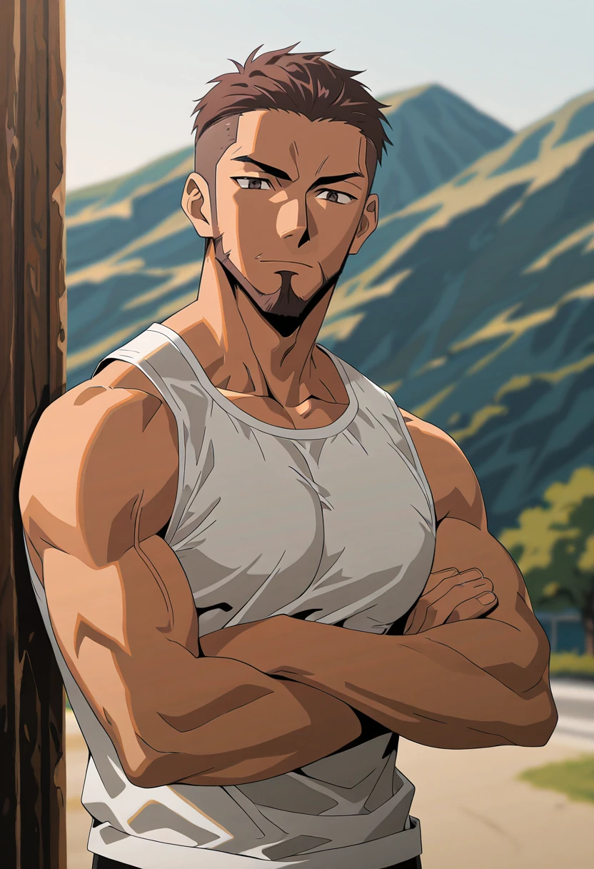 Liu Heng, anime art