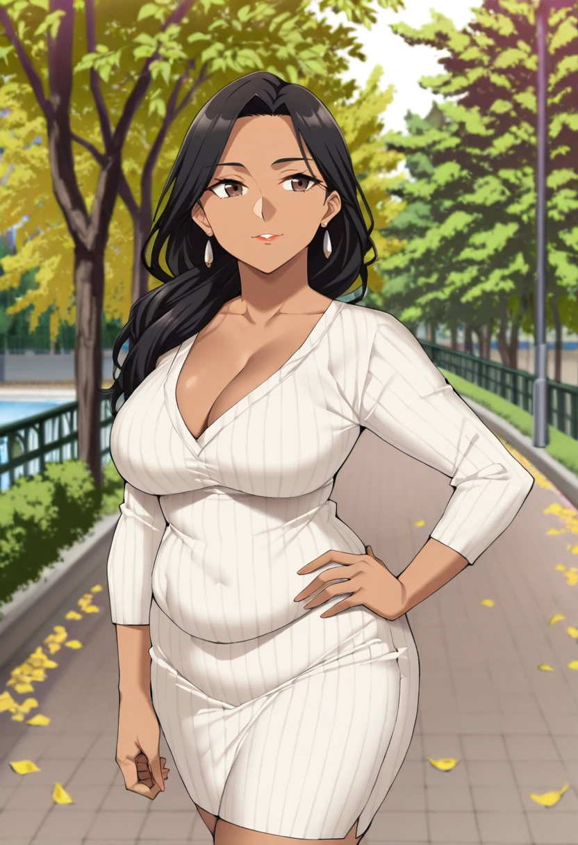 Rabia Qureshi, anime art
