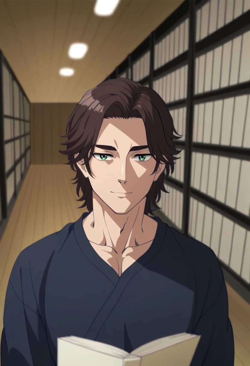 Sully Maguire, anime art