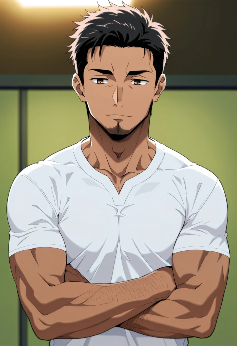 Zain Qureshi, anime art
